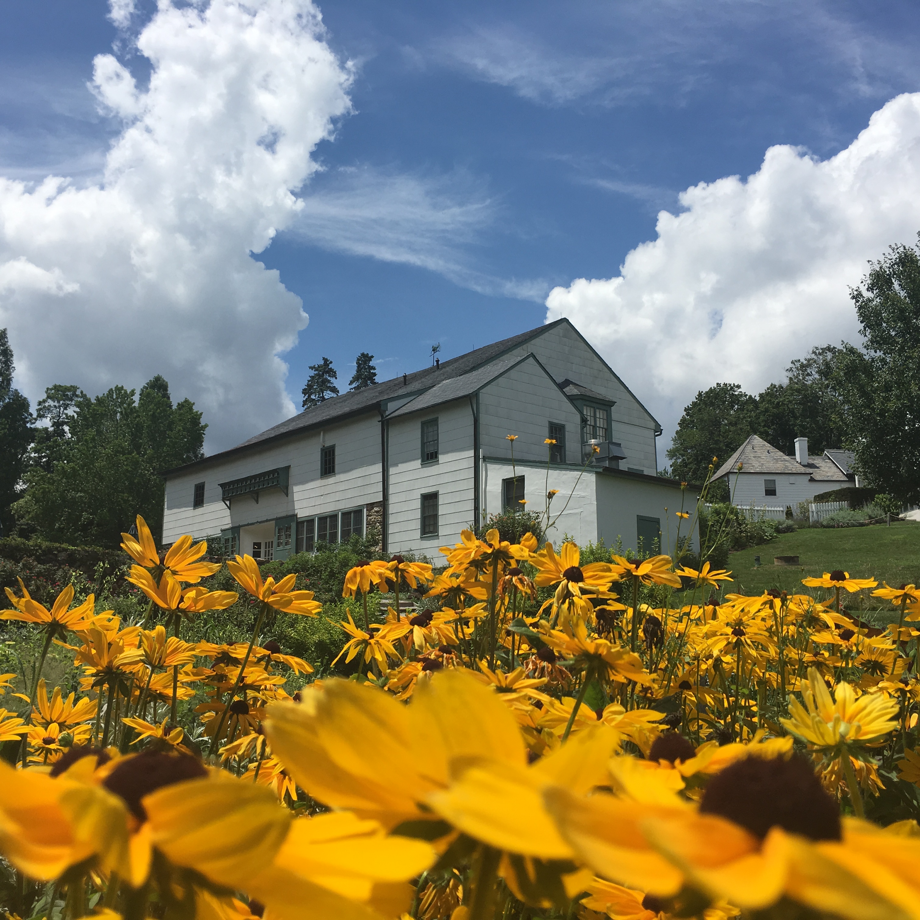 LaDew Topiary Gardens - blue house gardens llc